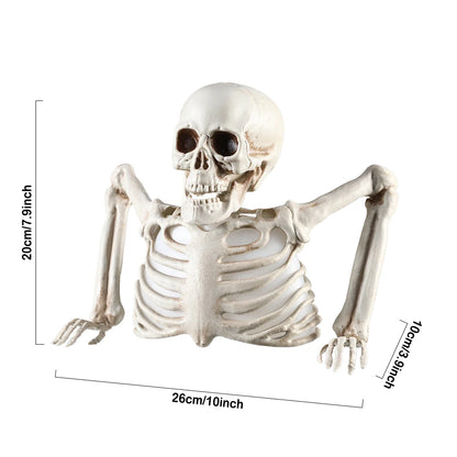 Glowing Skull Skeleton