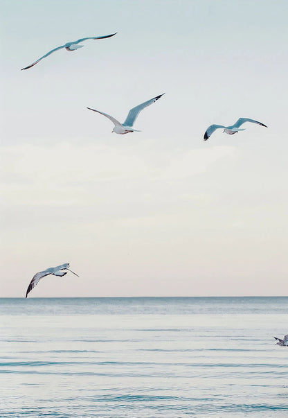 Seaside Escape Photo Series