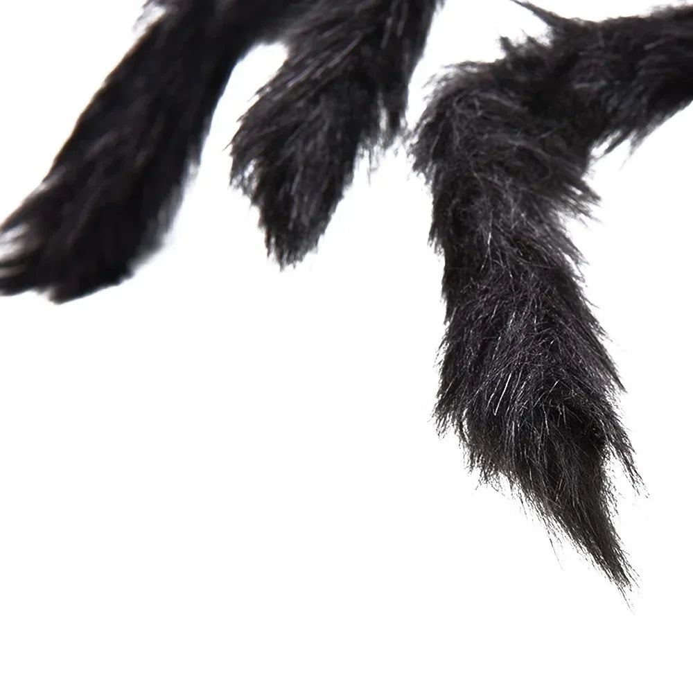 Big Spider Halloween