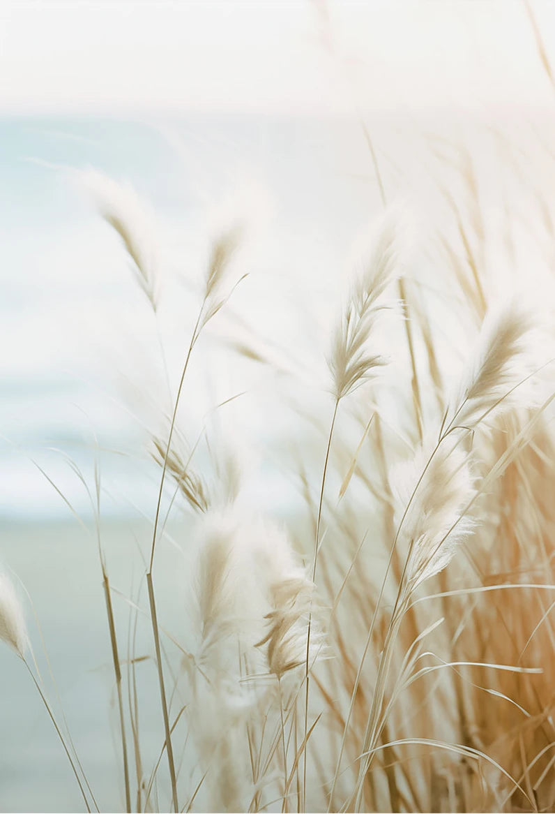 Seaside Escape Photo Series
