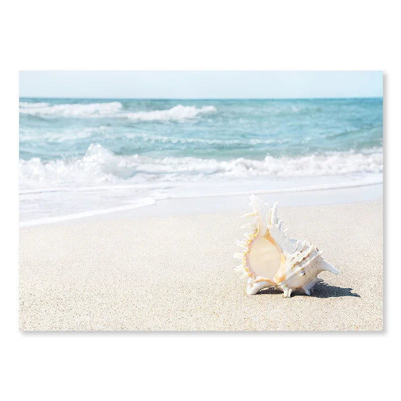 Coastal Calm Stills Collection