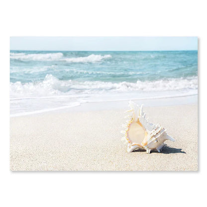 Coastal Calm Stills Collection